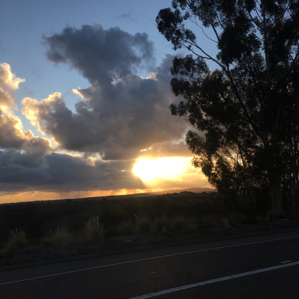 Meet your Posher, Mia